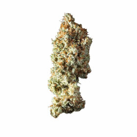 Royal Queen Seeds Shining Silver Haze - 3 feminisierte Samen