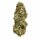 Royal Queen Seeds Special Kush #1 - 3 feminisierte Samen