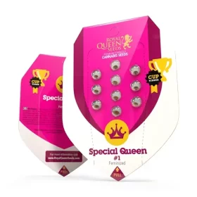 Royal Queen Seeds Special Queen #1 - 3 feminisierte Samen