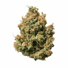 Royal Queen Seeds Sweet ZZ AUTO - 3 automatisierte Samen