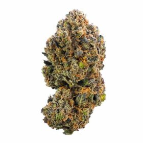 Royal Queen Seeds Sweet ZZ - 3 feminisierte Samen