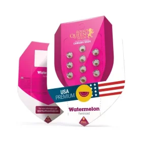 Royal Queen Seeds Watermelon - 3 feminisierte Samen