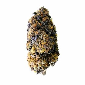 Royal Queen Seeds Wedding Gelato - 3 feminisierte Samen