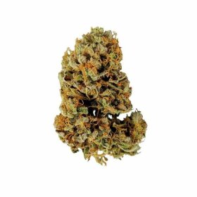 Royal Queen Seeds White Widow AUTO - 3 autoflowering Samen