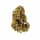 Royal Queen Seeds White Widow AUTO - 3 autoflowering Samen