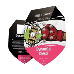 Royal Queen Seeds Dynamite Diesel Tyson 2.0 - 3 feminized seeds