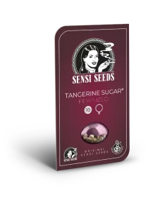 Sensi Seeds Tangerine Sugar - 3 feminisierte Samen