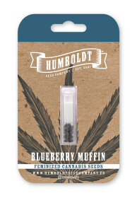 Humboldt Seed Company Blueberry Muffin - 5 feminized seeds