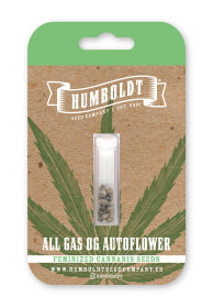 Humboldt Seed Company All Gas OG AUTO - 5 autoflowering Samen