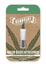 Humboldt Seed Company Dream Queen AUTO - 5 automated seeds