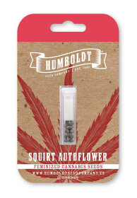 Humboldt Seed Company Squirt AUTO - 5 automated seeds