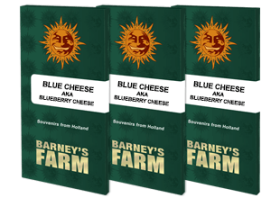 Barneys Farm Blue Cheese - 3 feminized seeds