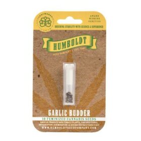 Humboldt Seed Company Garlic Budder - 5 feminized seeds