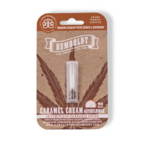 Humboldt Seed Company Caramel Cream AUTO - 5 automatisierte Samen