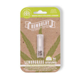 Humboldt Seed Company Lemongrass AUTO - 5 autoflowering Samen