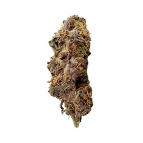 Royal Queen Seeds Bubbel Kush - 3 feminisierte Samen