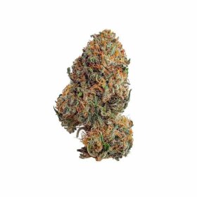 Royal Queen Seeds Bubbelgum XL - 3 feminisierte Samen