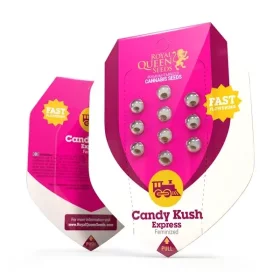 Royal Queen Seeds Candy Kush Express Fast Version - 3 feminisierte Samen