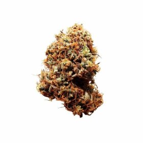 Royal Queen Seeds Diesel AUTO - 3 autoflowering Samen