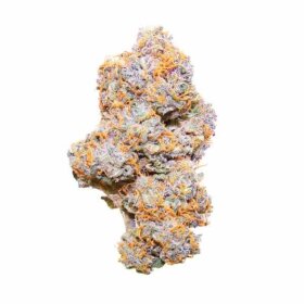 Royal Queen Seeds Purple Punch AUTO - 3 autoflowering Samen