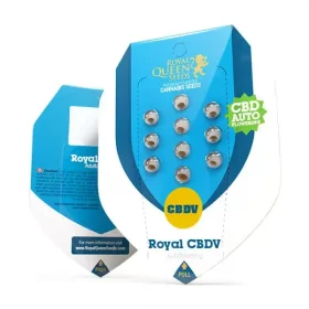 Royal Queen Seeds Royal CBDV AUTO CBD - 3 automatisierte Samen