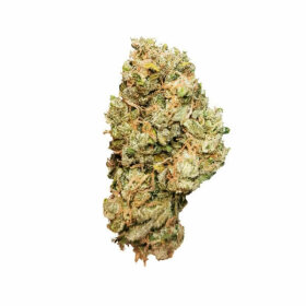 Royal Queen Seeds Royal Cheese AUTO - 3 automatisierte Samen