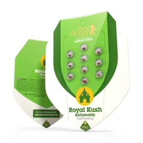 Royal Queen Seeds Haze Royal Kush AUTO - 3 autoflowering Samen