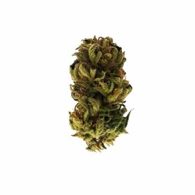 Royal Queen Seeds Haze Royal Kush AUTO - 3 autoflowering Samen