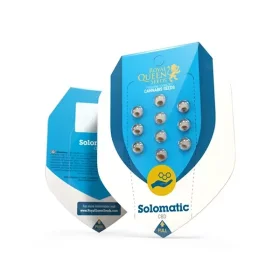 Royal Queen Seeds Solomatic AUTO CBD - 3 automated seeds