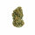 Royal Queen Seeds Sour Diesel - 3 feminisierte Samen