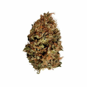 Royal Queen Seeds Stress Killer AUTO CBD - 3 automatisierte Samen