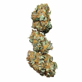 Royal Queen Seeds Wedding Cake - 3 feminisierte Samen