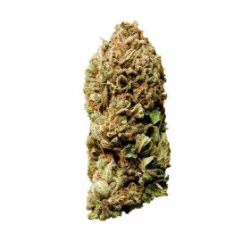 Royal Queen Seeds Wedding Crasher - 3 feminisierte Samen