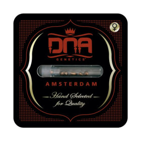 DNA Genetics Chocolope Kush - 5 feminsierte Samen