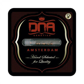 DNA Genetics Kosher Dawg - 5 feminsierte Samen