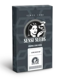 Sensi Seeds Alpine Delight CBD Automatic - 3 automatisierte Samen