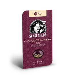 Sensi Seeds Chocolate Rainbow XXL - 3 feminisierte Samen