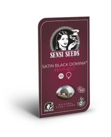 Sensi Seeds Satin Black Domina CBD - 3 feminized seeds