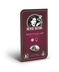 Sensi Seeds Jack Flash #5 - 3 feminisierte Samen