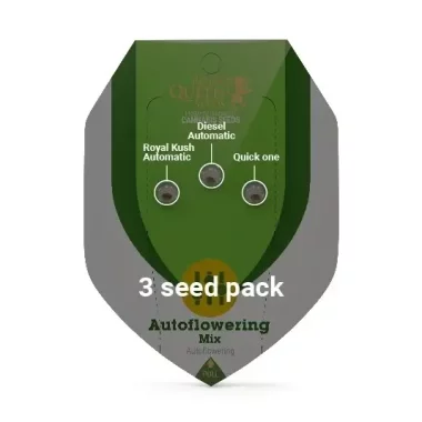 Royal Queen Seeds Autoflowering Mix - 3 autoflowering Samen