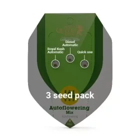 Royal Queen Seeds Autoflowering Mix - 3 automated seeds