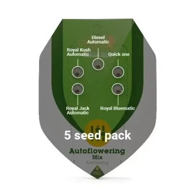 Royal Queen Seeds Autoflowering Mix - 5 autoflowering Samen