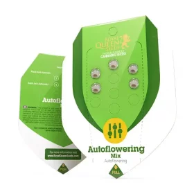 Royal Queen Seeds Autoflowering Mix - 5 autoflowering Samen