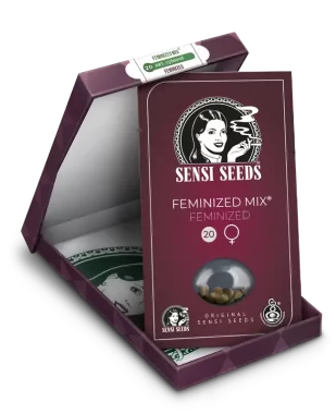 Sensi Seeds Feminized Mix - 20 feminisierte Samen