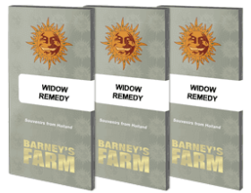 Barneys Farm Widow Remedy REGULAR - 10 regular seeds