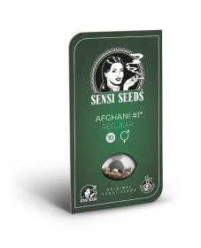 Sensi Seeds Afghani #1 REGULAR - 10 regular seeds