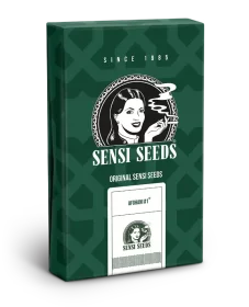 Sensi Seeds Afghani #1 REGULAR - 10 reguläre Samen