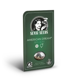 Sensi Seeds American Dream REGULAR - 10 reguläre Samen