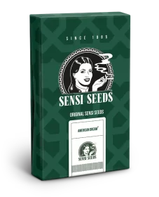 Sensi Seeds American Dream REGULAR - 10 reguläre Samen