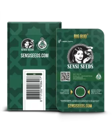 Sensi Seeds Big Bud REGULAR - 10 reguläre Samen